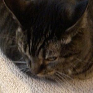 Meet your Posher, Alexandre